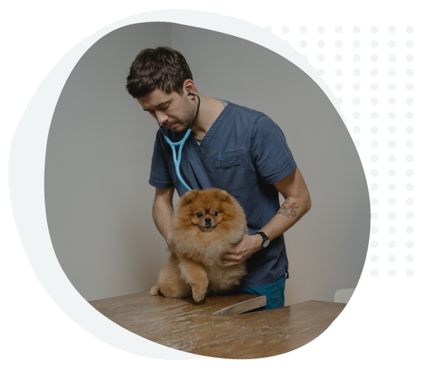Veterinarias